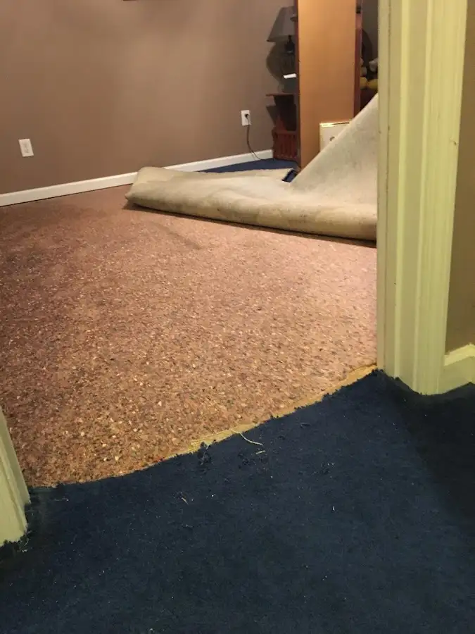 Carpet pad removal revealing water damage during Drying & Dehumidification in Wabash