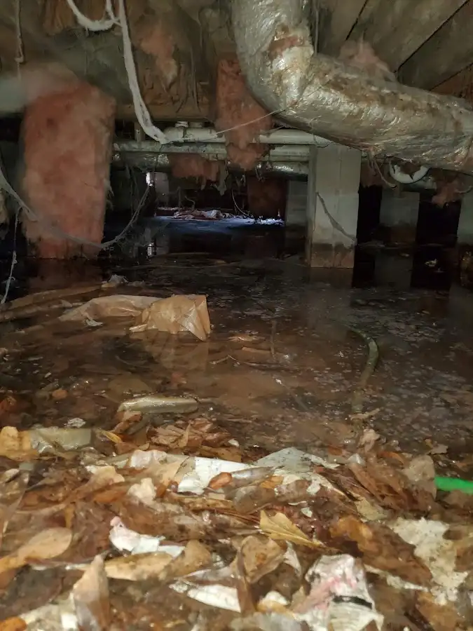 Crawl space flood assessment for Leak Detection & Repair in Wabash