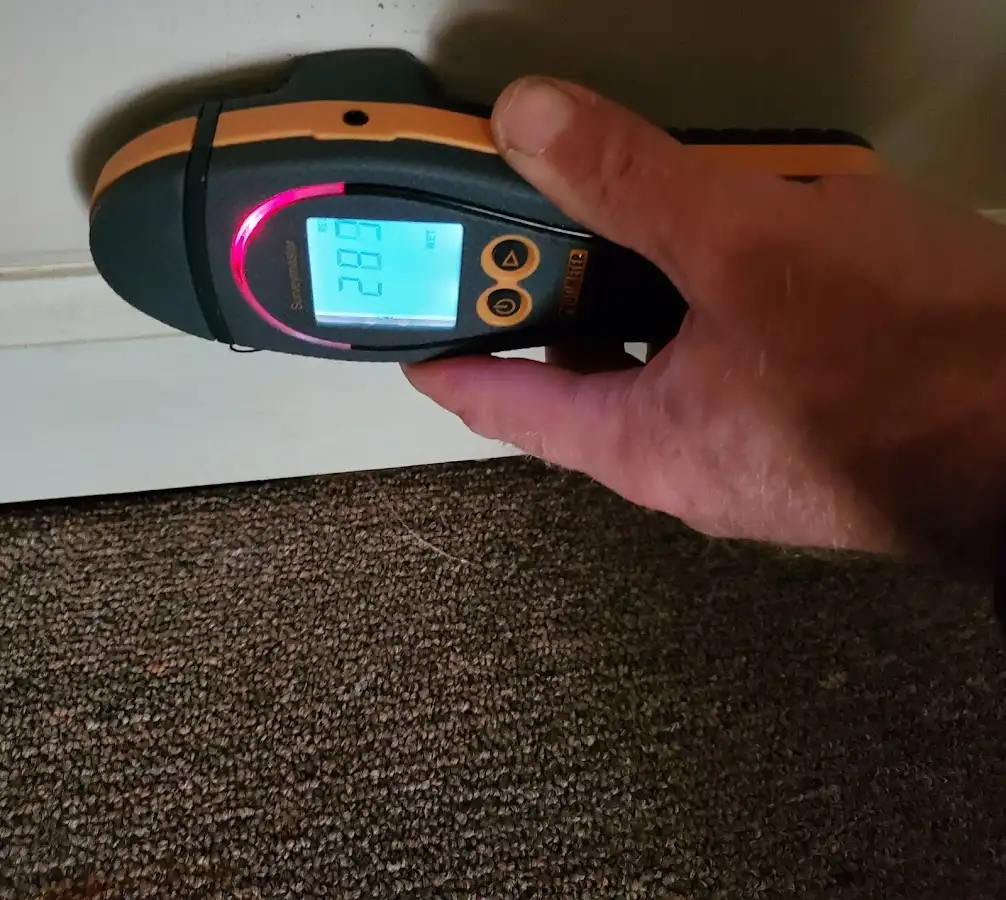 Moisture detection at baseboard during Sewage Cleanup & Sanitation in Wabash